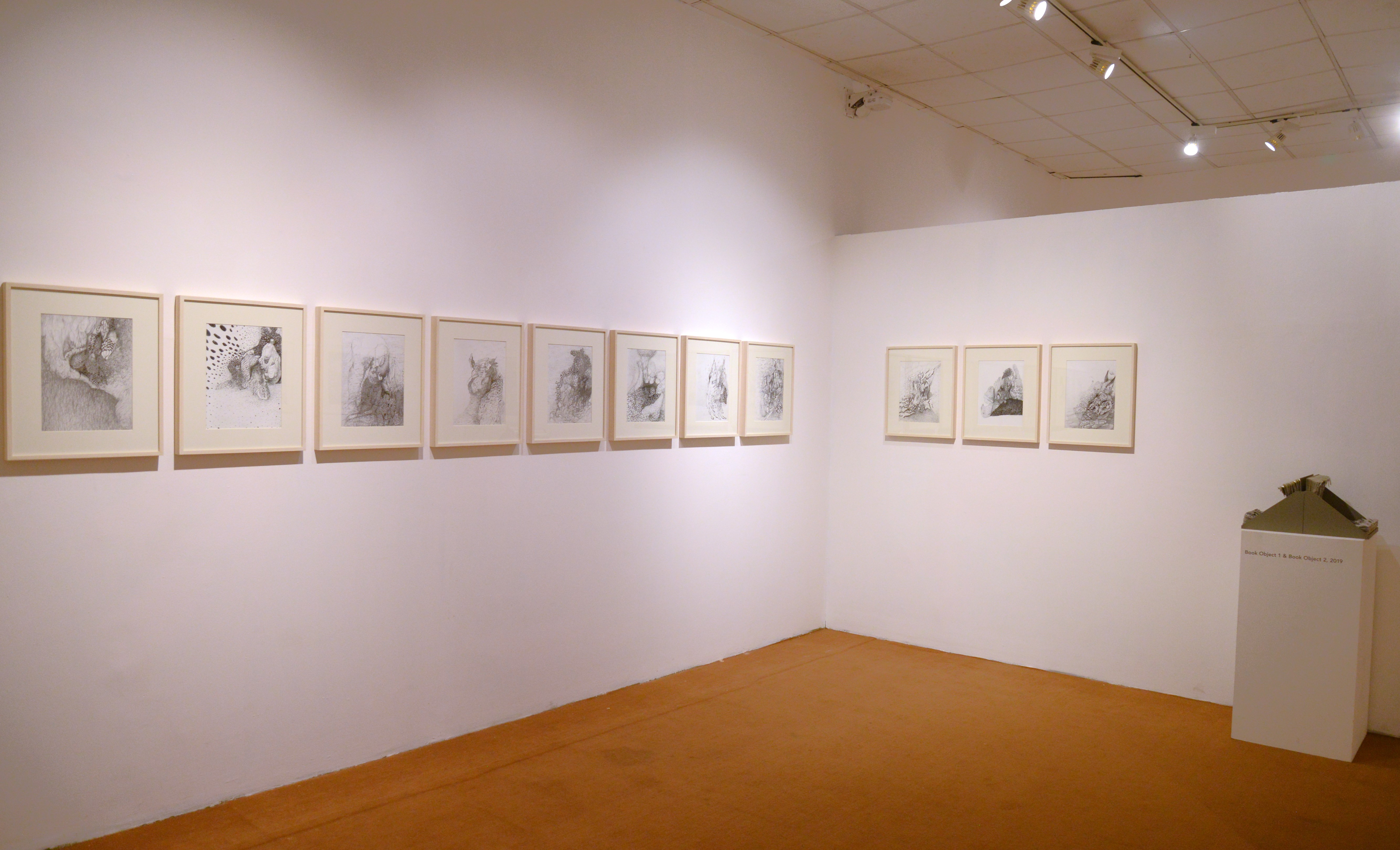 In the Forests of the Night