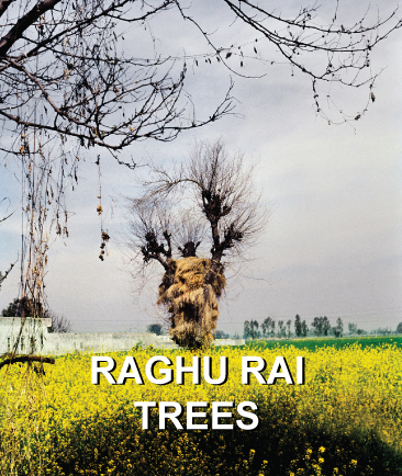 TREES | Raghu Rai 