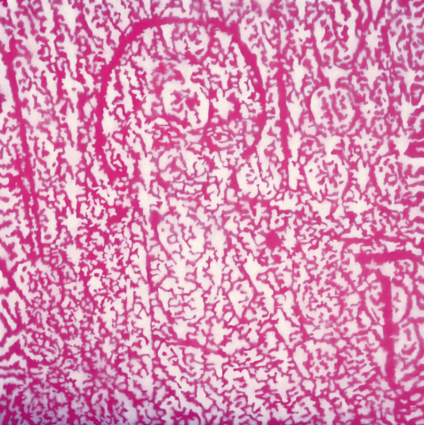 Untitled Pink Drawing