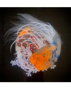 'Spes Maris' series XII
