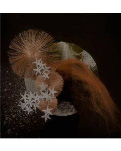 'Spes Maris' series XIV