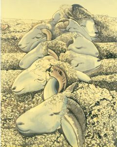 SHEEP