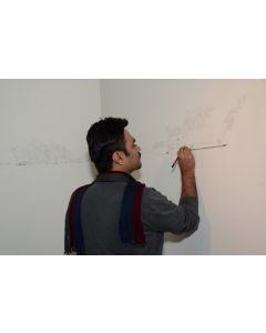 Living Walls