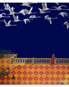 Damayanti On Old Delhi