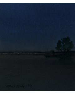 The Night Light