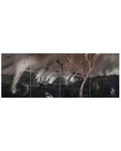 Untitled- 14 Night Forest Series