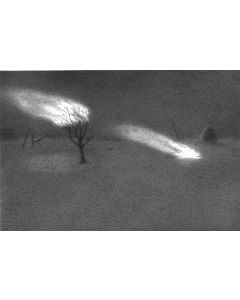 Untitled- 23 Night Forest Series