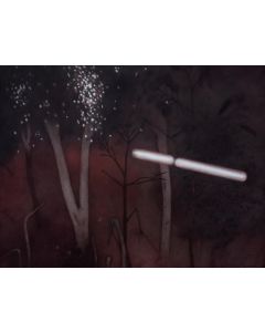 Untitled- 3 Night Forest Series