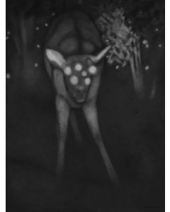 Untitled- 4 Night Forest Series