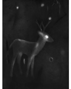 Untitled- 6 Night Forest Series
