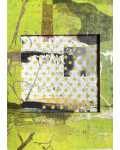 The Mirrors of Antiquity