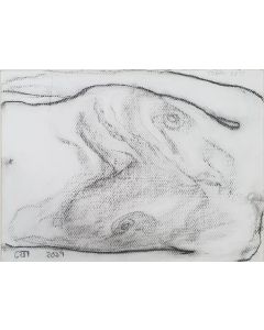 Torso