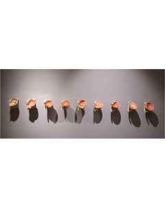 Reverence (set of 9)