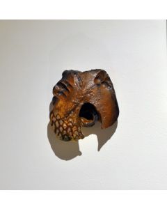 Taste of Earth- 3