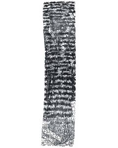 Shelter From the Storm