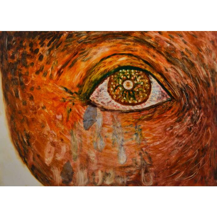 Left Eye, Right Brain