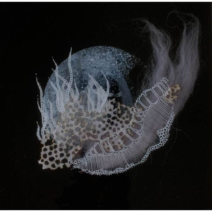 'Spes Maris' series V