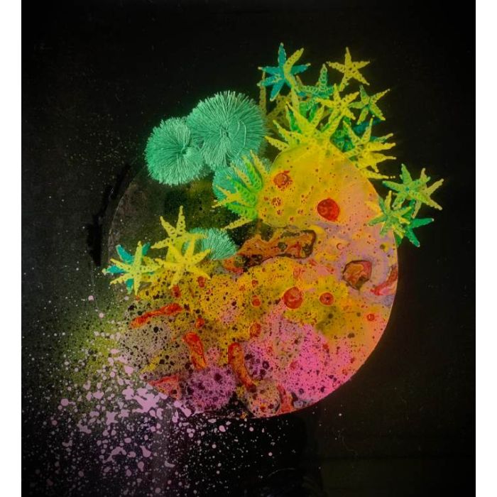 'Spes Maris' series XIII