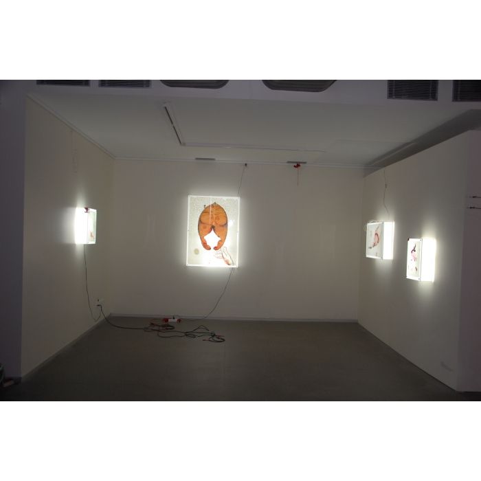 Something Fishy A,B C,D