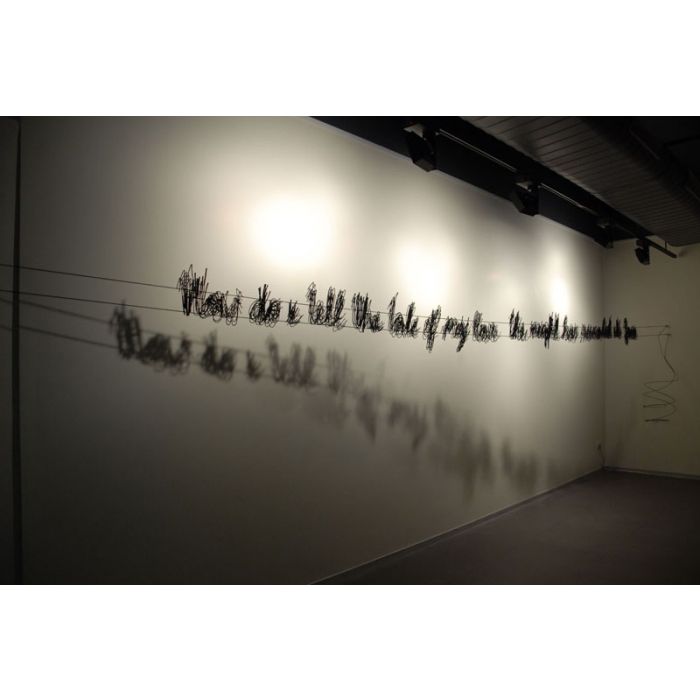 Like a Bird on a Wire