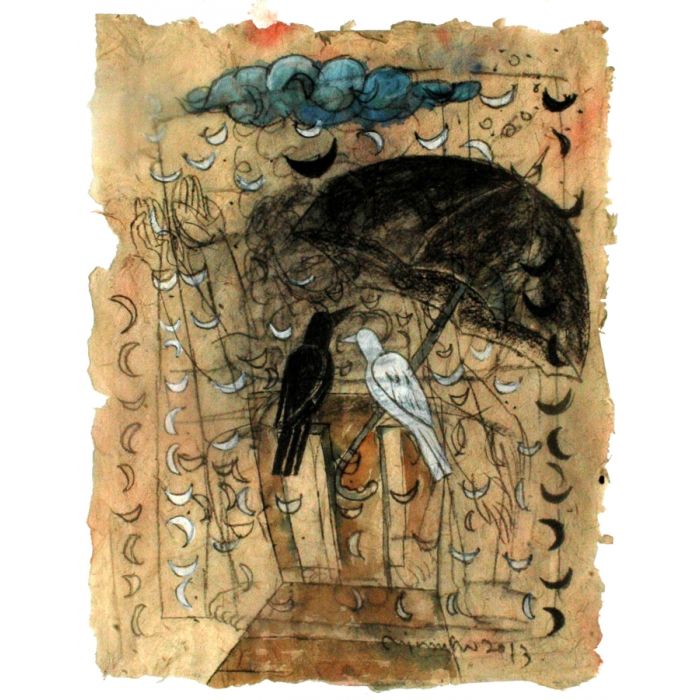 Uttrakhand -Saving Black and White II    