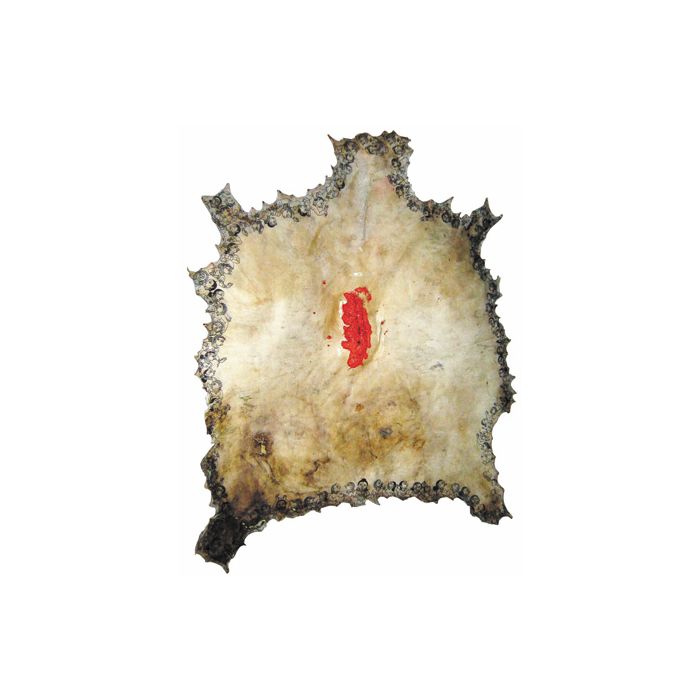 Sacrificial Wombs I ï¿½ Side I
