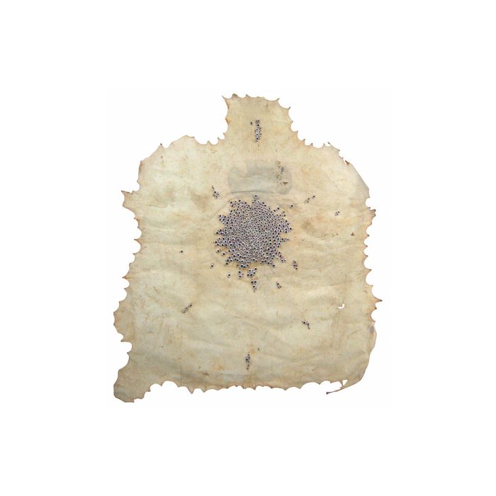 Sacrificial Wombs II ï¿½ Side I