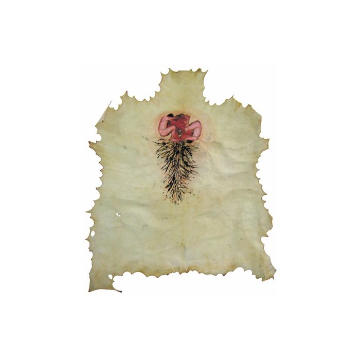 Sacrificial Wombs II ï¿½ Side I