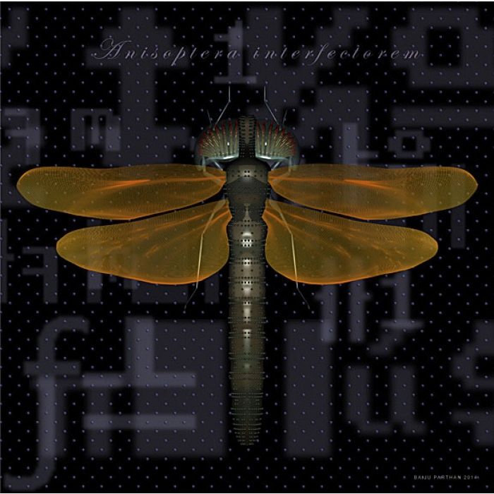 PROCESS-D (Anisoptera Interfectorem)