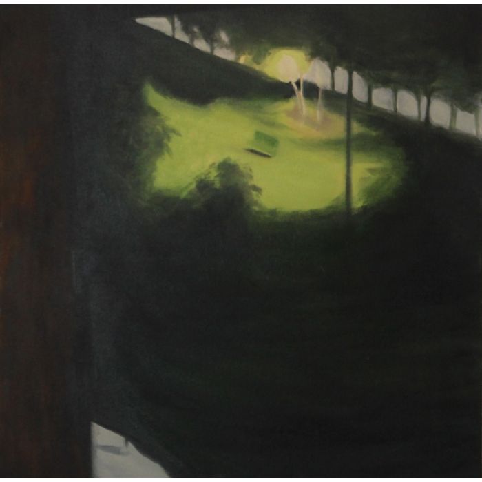 'Nox Umbra' Night Shadows from the series 'Moth'