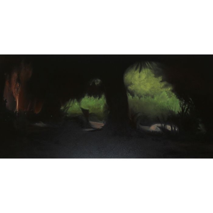 'Nox Umbra' Night Shadows from the series 'Moth'