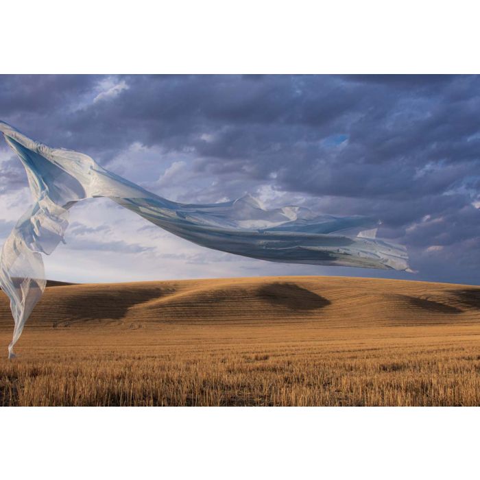 il legible presences 73