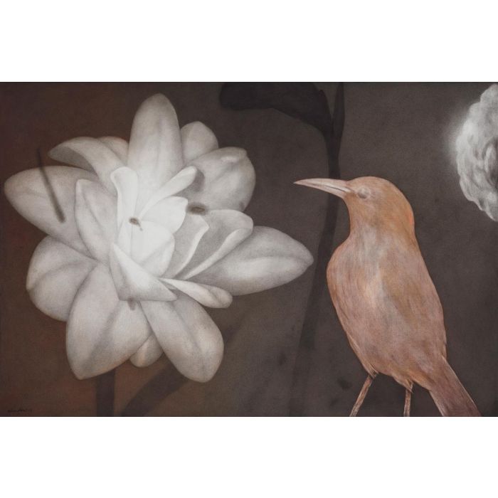 Untitled- 1 Night Forest Series