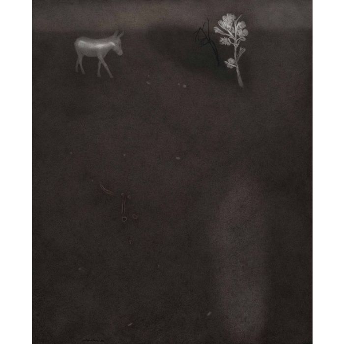 Untitled- 11 Night Forest Series