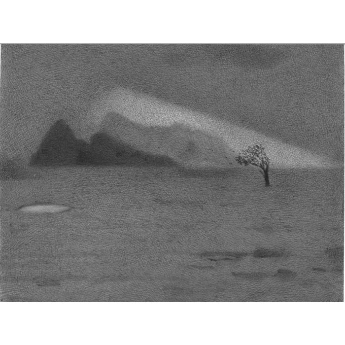 Untitled- 16 Night Forest Series