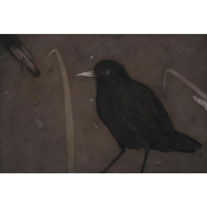 Untitled- 2 Night Forest Series