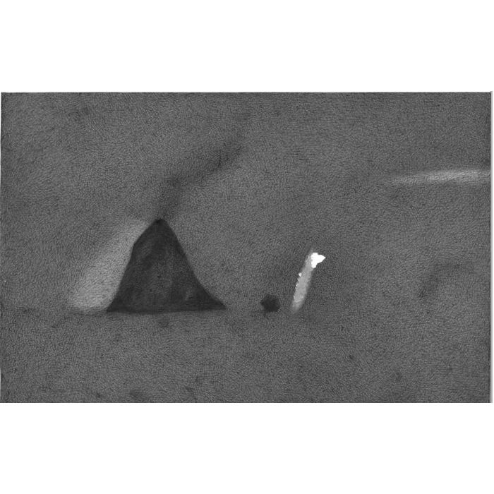 Untitled- 20 Night Forest Series