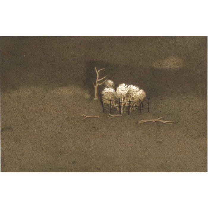 Untitled- 22 Night Forest Series