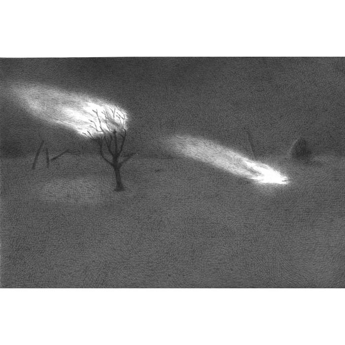 Untitled- 23 Night Forest Series