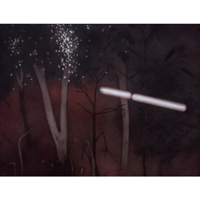 Untitled- 3 Night Forest Series