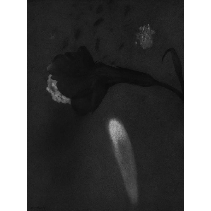 Untitled- 5 Night Forest Series