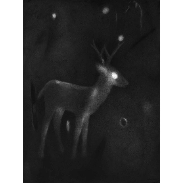 Untitled- 6 Night Forest Series