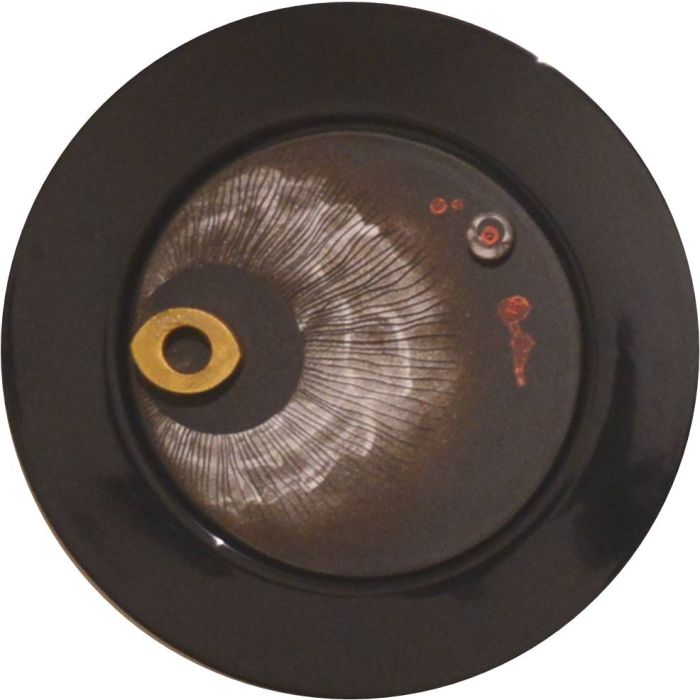 Circle with Many centers and no Circumference, Framed Disc Black 1