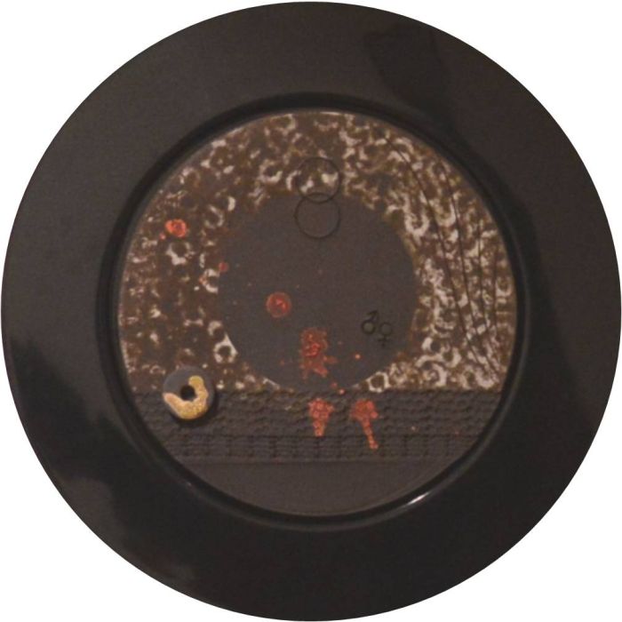 Circle with Many centers and no Circumference, Framed Disc Black 4
