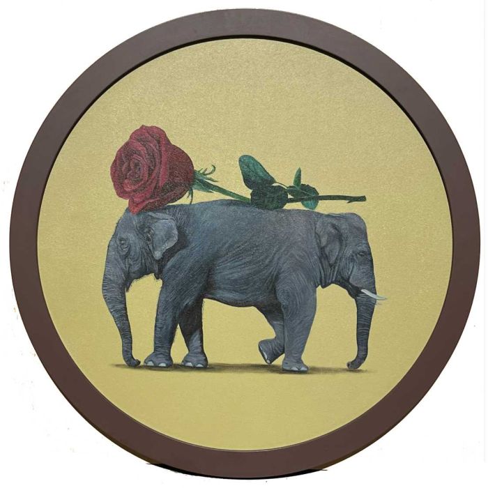 Elephant Series