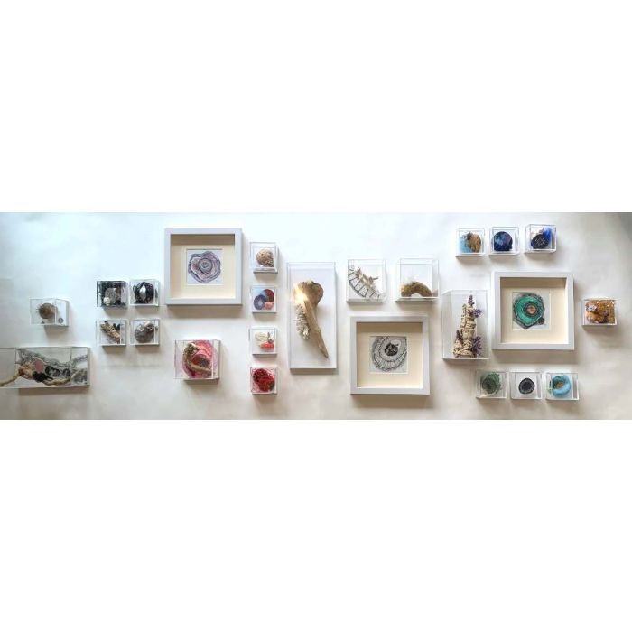 Specio - Collection of 25 sculptural assemblages & drawings