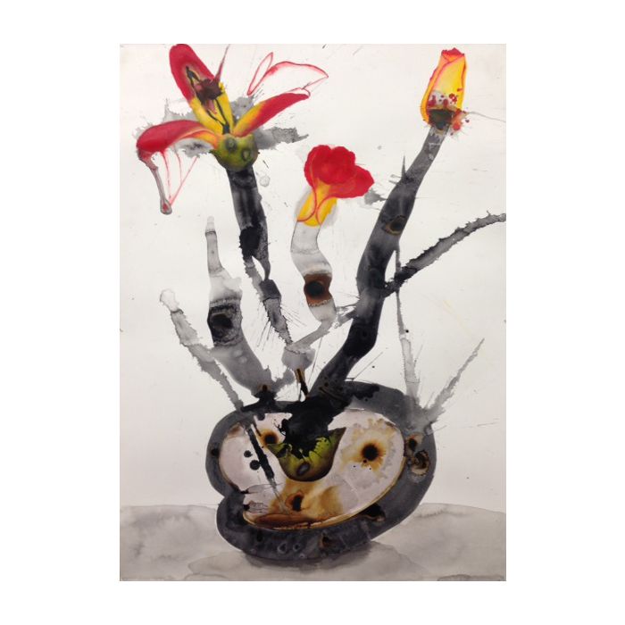 Flowers from Heaven C