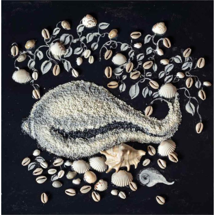 Ocean’s Whisperers - XII