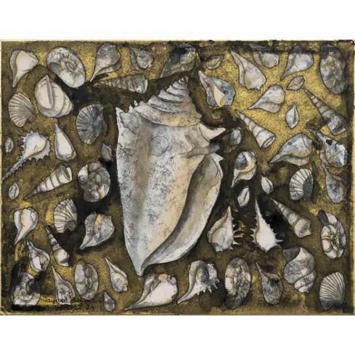 Ocean’s Whisperers - XIX