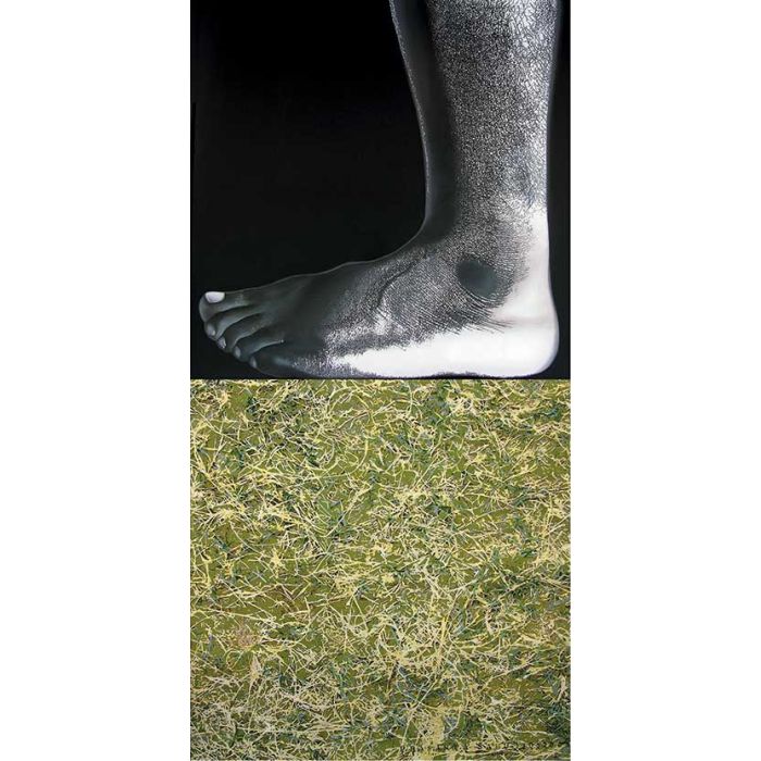 The Act of Touching-IV